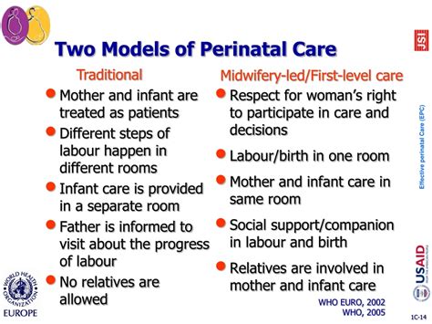 Ppt Safe Childbirth And Effective Perinatal Care Are Changes