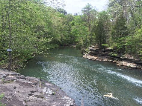 Get water depth of turkey creek and insights from other anglers. Turkey Creek Nature Preserve : Exploring Alabama