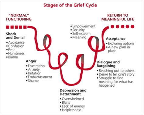 What Is Grief Cycle Examples And Stages Of Grief Projectcubicle