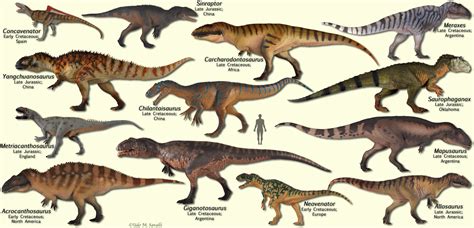 Bio113 Carnivorous Dinosaurs