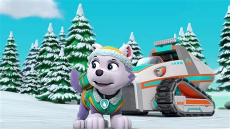 Paw Patrol Pups Save Thanksgiving Everest To The Rescue Youtube