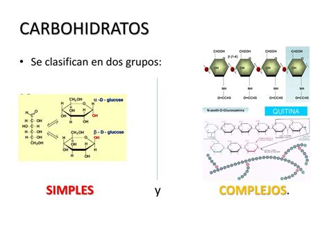 Ppt Carbohidratos Powerpoint Presentation Free Download Id2918103