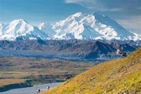 The Tallest Peak In North America Denali National Park And Preserve
