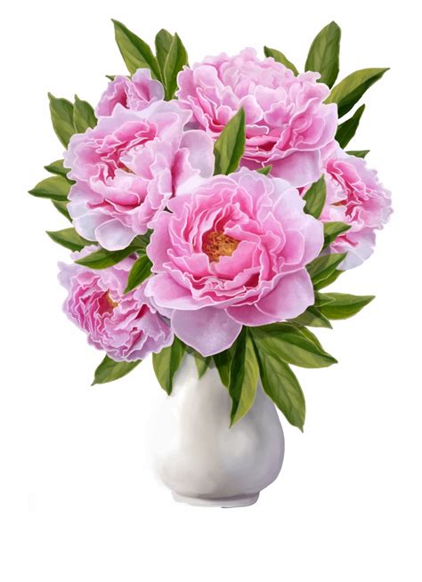Bouquet Of Peonies Png Flower Vase Png Peony Clip Art Library