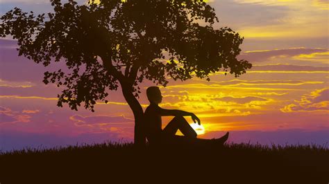The Man Sit Near The Tree On The Background Of Sunset Time Lapse Stock