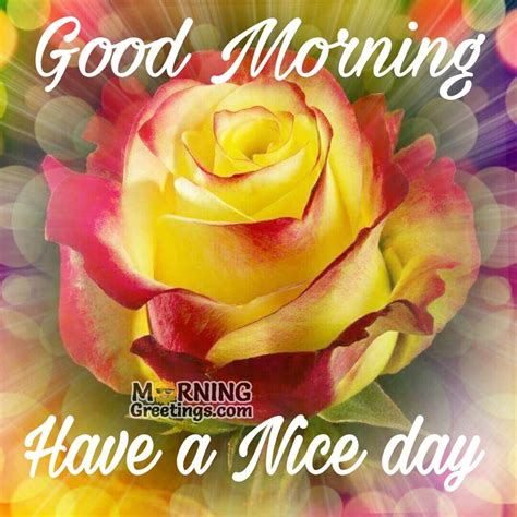 51 Good Morning Wishes With Rose Morning Greetings Morning Wishes
