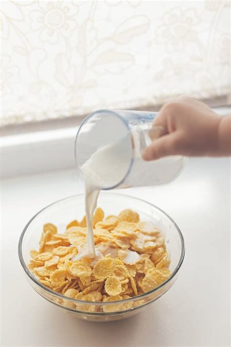 Corn Flakes In A Cup Stock Image Image Of View Walmart 180779147