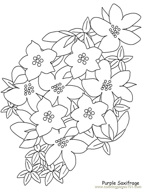 I picked each of the quotes because i think they are uplifting and encouraging and i hope you are uplifted and encouraged. Realistic Flowers | Flower coloring pages, Coloring pages ...