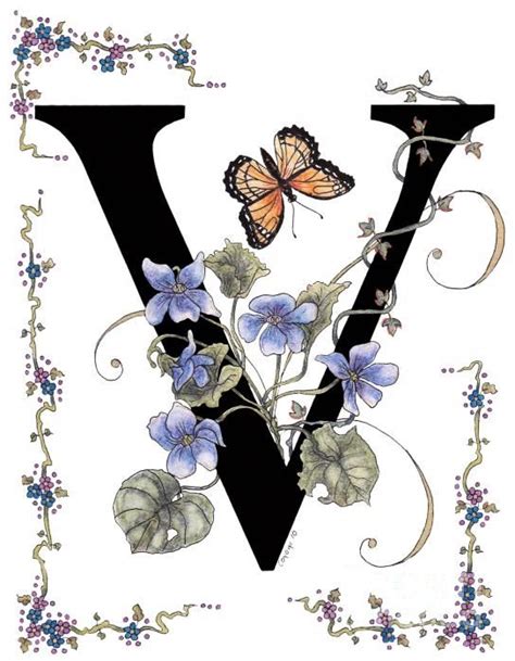 Violets And A Viceroy Butterfly By Stanza Widen Lettering Alphabet