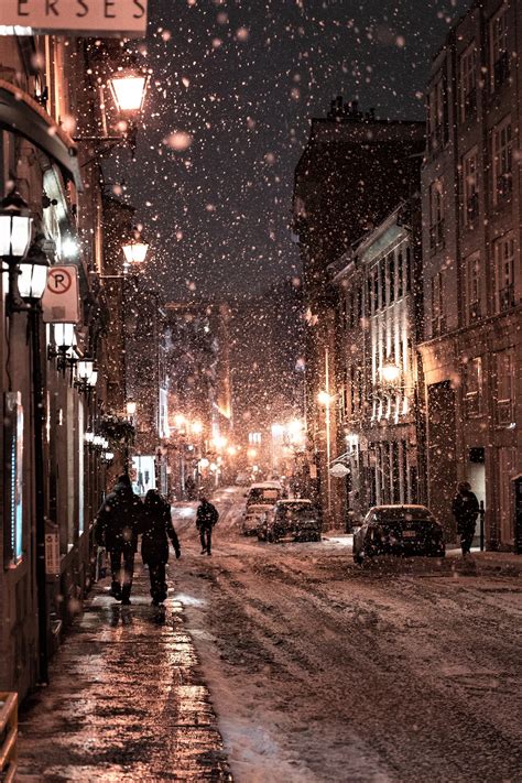 Travel Destinations Calling Your Name — Artsy Chow Roamer Winter