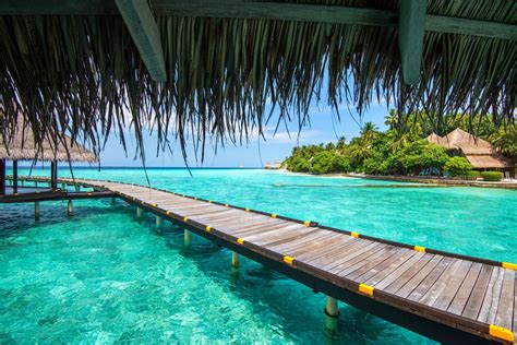 Maldives Resort Sea Beach Tropical Palm Trees Summer Vacations Walkway