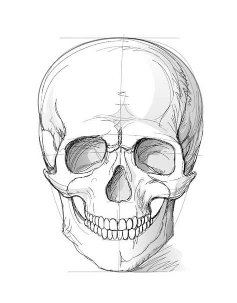 How To Draw A Skull With A Pencil Step By Step Drawing Tutorial