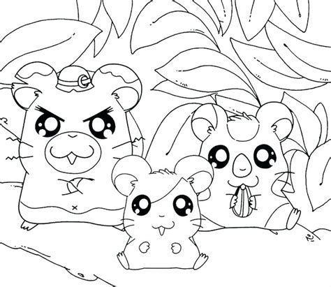 Cute Hamster Coloring Pages At Free