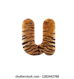 Tiger Letter U Small D Feline Stock Illustration Shutterstock