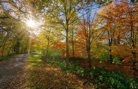 10 Of The Best Autumn Walks In Greater Manchester