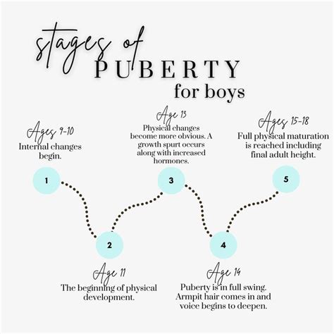 Stages Of Puberty For Boys Physical Change Puberty Physical Development