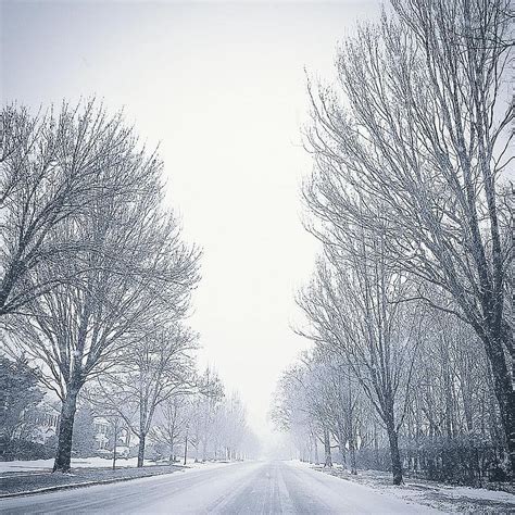 Winter Wonderland Photograph By Jaclyn Noel Perrone Fine Art America