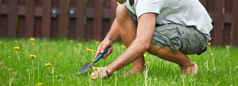 Spring 2015 5 Ways To Perk Up Your Lawn Garbett Homes Blog