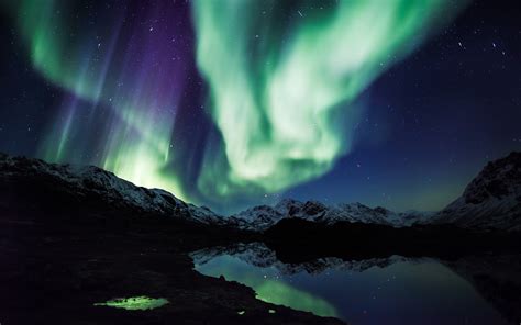壁纸 2560x1600像素 极光 北极熊 绿色 湖 景观 灯光 山 晚 北方 反射 星星 2560x1600