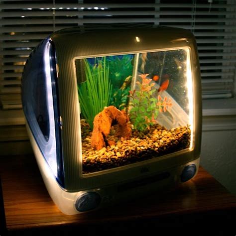 Imacquarium Fish Tank Built With Imac G3 Gadgetsin