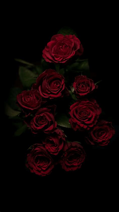 Red Rose Aesthetic Wallpapers - Wallpaper Cave Free tumblr wallpapers black and white download free clip.