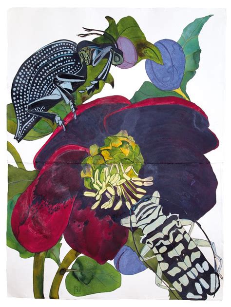 Sarah Graham Selected Works Botanical Art Botanical Painting