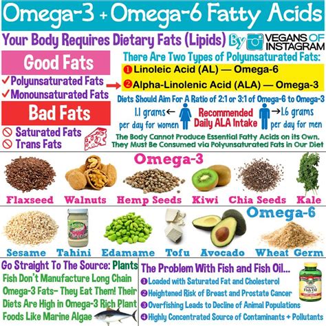 Fish and seafood naturally, as well as. Omega-3 and Omega-6 balance. Avoid processed foods to ...