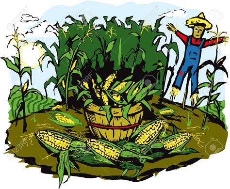Corn Field Clipart At Getdrawings Free Download