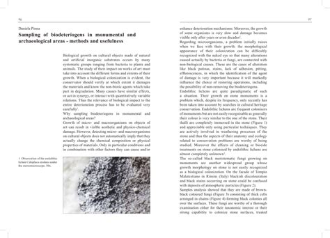 Pdf Sampling Of Biodeteriogens In Monumental And Archaeological Areas