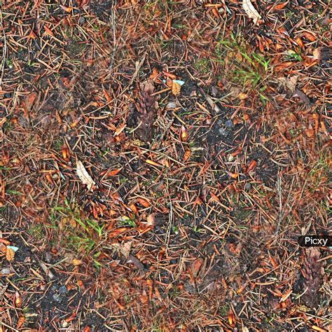 Image Of High Resolution Seamless Texture Of A Forest Ground With Autumn Leaves And Nuts