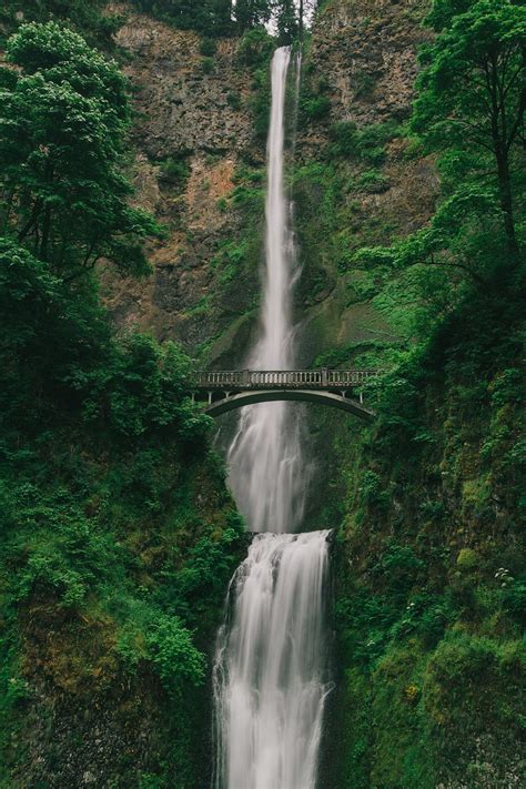 Hd Wallpaper Bridge Over Waterfalls Flowing Cliff Tree Green