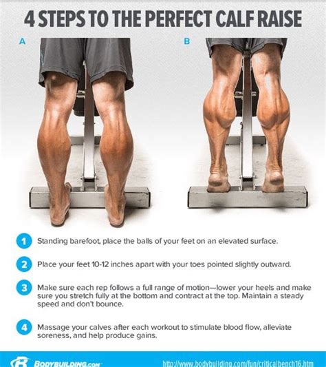 What Is The Best Exercise To Build Calf Muscles Exercise Poster