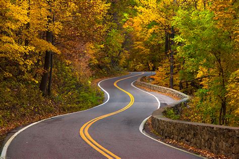 The shady friends' perspective of love and life: Winding roads