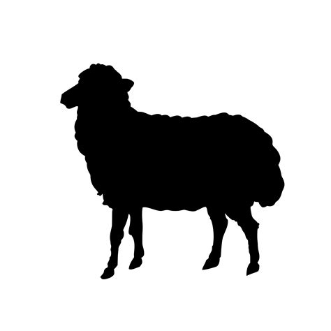 Detail Gambar Domba Hitam Putih Koleksi Nomer 21