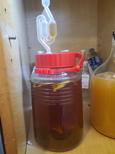 Banana Wine Update Rwinemaking