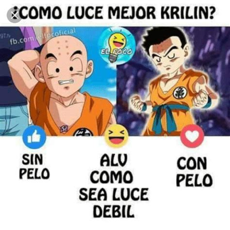 We did not find results for: Memes de krilin | DRAGON BALL ESPAÑOL Amino