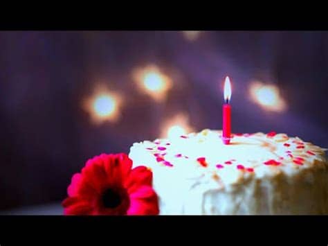 We have given happy birthday status video for download here. Happy Birthday Whatsapp Status || Happy Birthday Whatsapp ...