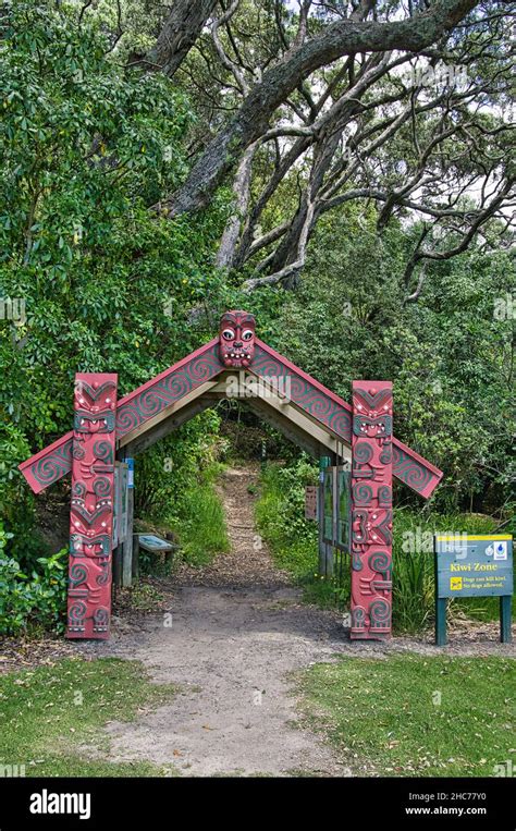 Carved Maori Gate In A Forest With Tall Trees Ohope Scenic Reserve