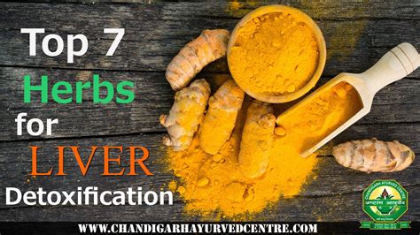 Top 7 Herbs for Liver Detoxification