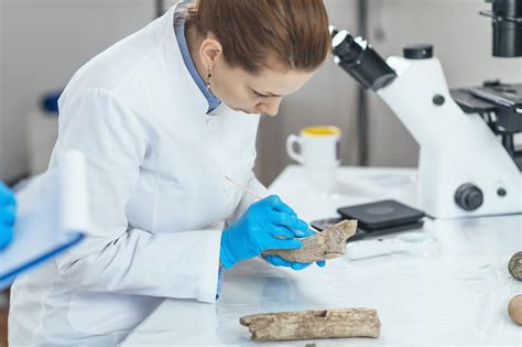 How To Become A Forensic Anthropologist Career And Salary Information