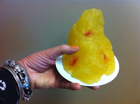 True North What A Pound Of Fat Looks Like Ew