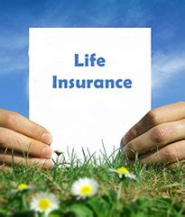 Until recently, the dominican republic used to be however, she did asked the insurance company and the hotel to reimburse her for the damages. Life Insurance - term insurance - Quotes from Amber ...