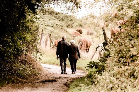 Il governo britannico sostiene che la corte non ha considerato come prestazione di vecchiaia le pensioni corrisposte in occasione di un licenziamento. Pensioni ultime notizie: uscita a 66 anni nel 2021, ecco ...