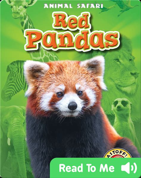 Red Pandas Animal Safari Childrens Book By Megan Borgert Spaniol