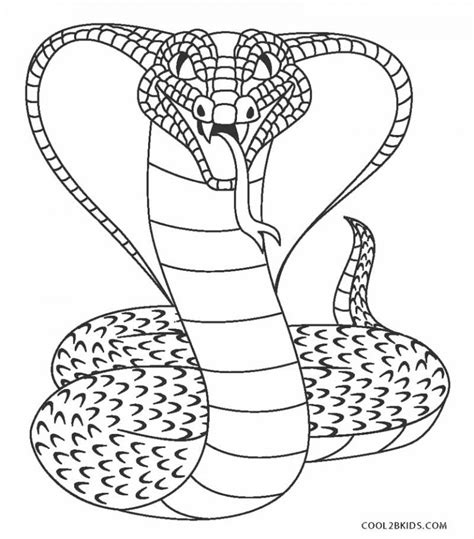 Burmese Python Coloring Pages