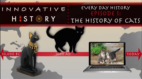 The History Of Cats Innovative History Youtube