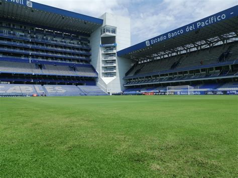 Maricela si tú también deseas contribuir puedes hacerlo aquí ¡ASÍ LUCE EL CAPWELL PARA LA EXPLOSIÓN AZUL 2021 ...