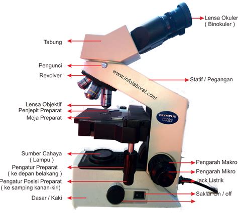 Gambar Mikroskop Lengkap Dengan Bagian Dan Fungsinya Pulp