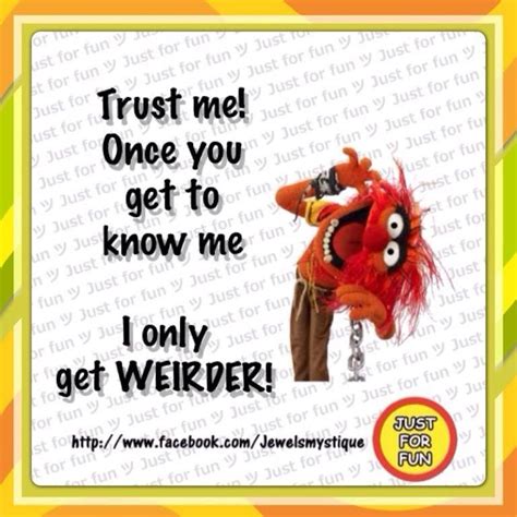 Pin By Angela Maria On Humour And Vids Muppets Funny Muppets Quotes