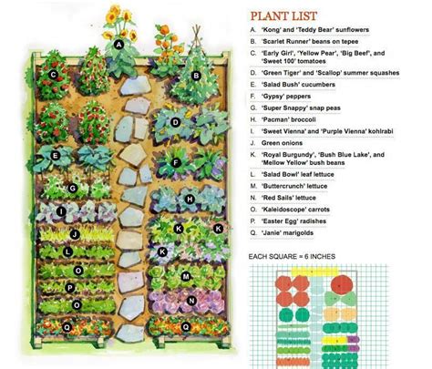 How To Plan A Small Vegetable Garden In 2023 Easy Backyard